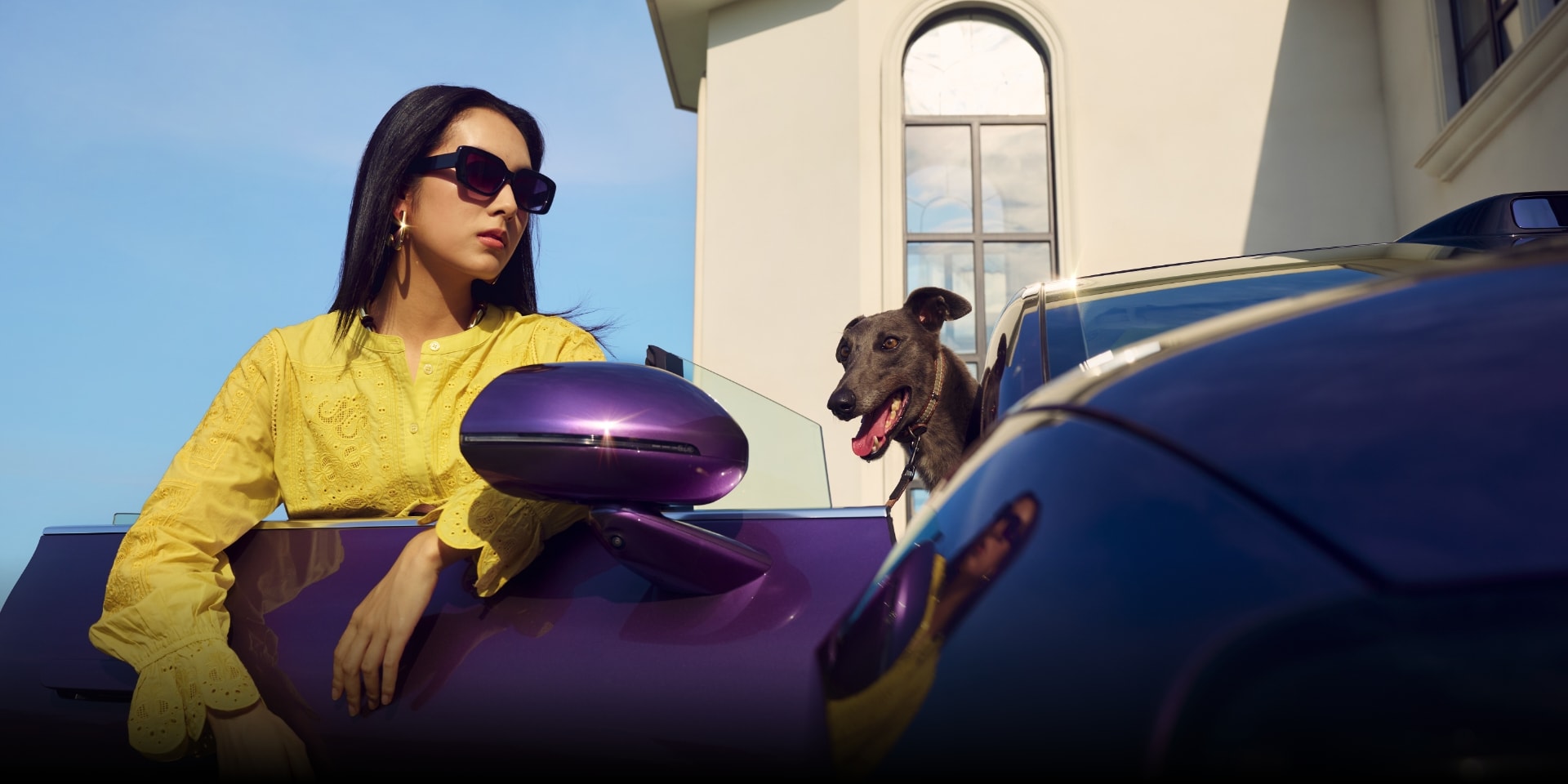 Family and pets inside the Luxeed R7, demonstrating its safety performance.
