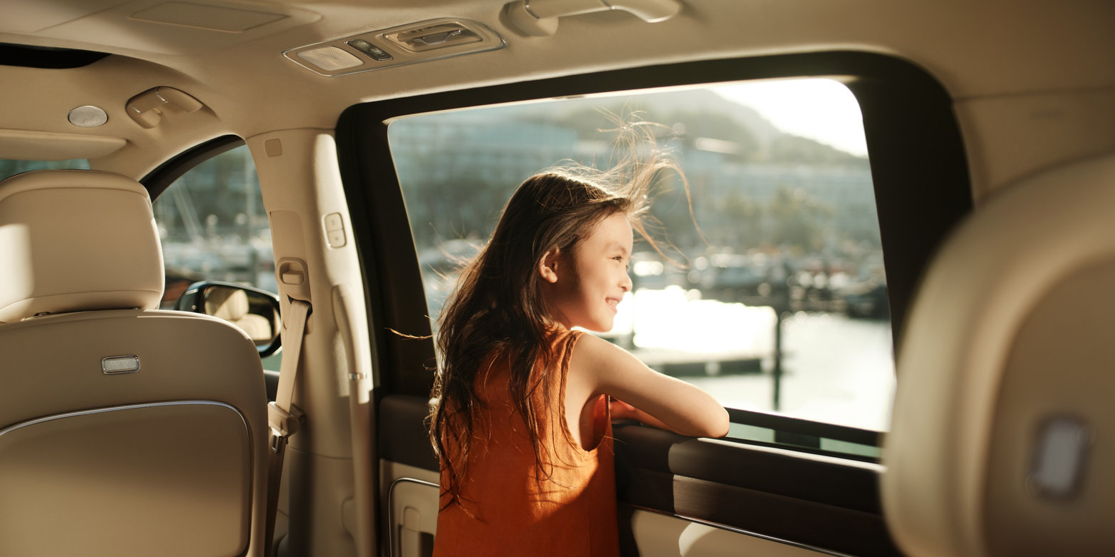Luxeed V9 MOFs Clean Cabin Air Purification System